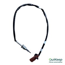Uitlaatgastemperatuursensor - VOLKSWAGEN CRAFTER 2 - 04L906088HD
