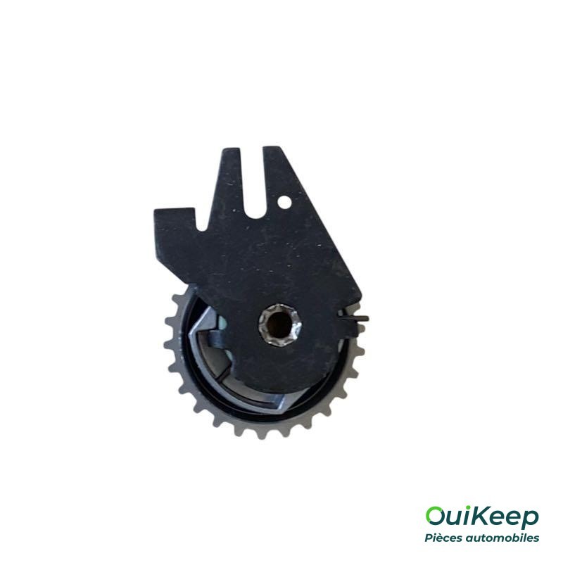 Napinacz paska - FIAT Ducato 3 PEUGEOT Boxer 3 CITROEN Jumper 3 - 55212159