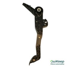 Gaspedal - CITROEN C4 - 9832538480