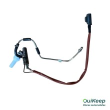 FAP brandstofinjector - FORD - 1879927