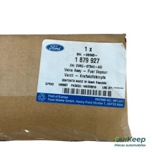 Kraftstoffeinspritzdüse FAP - FORD - 1879927