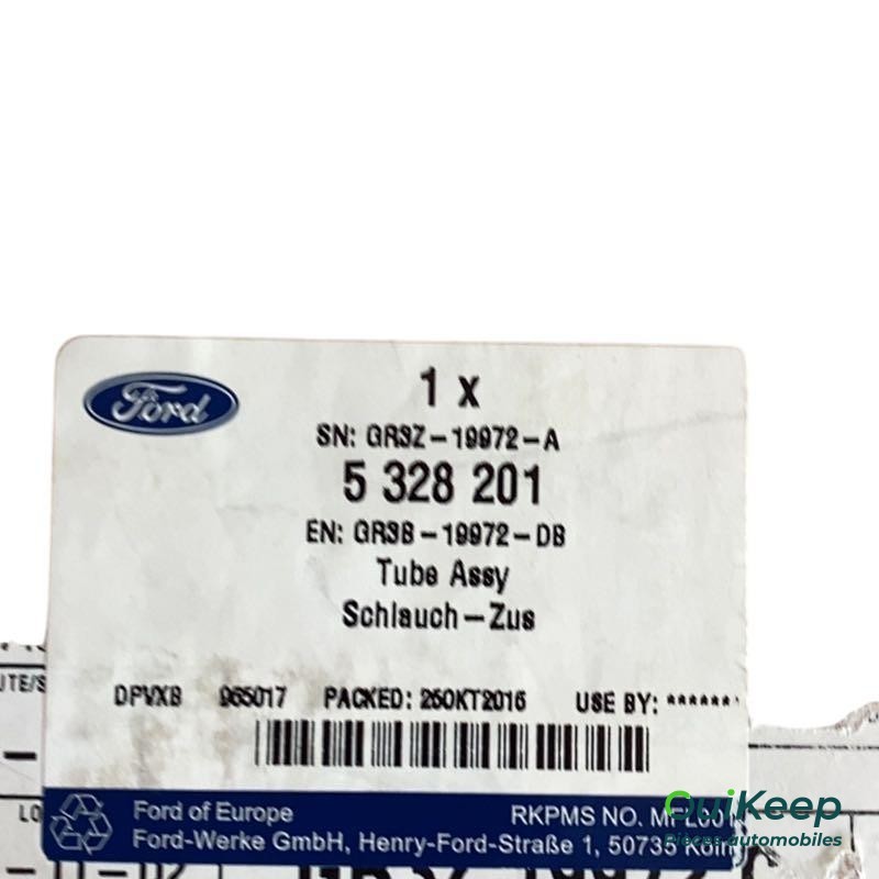 SLANG - FORD - 5328201