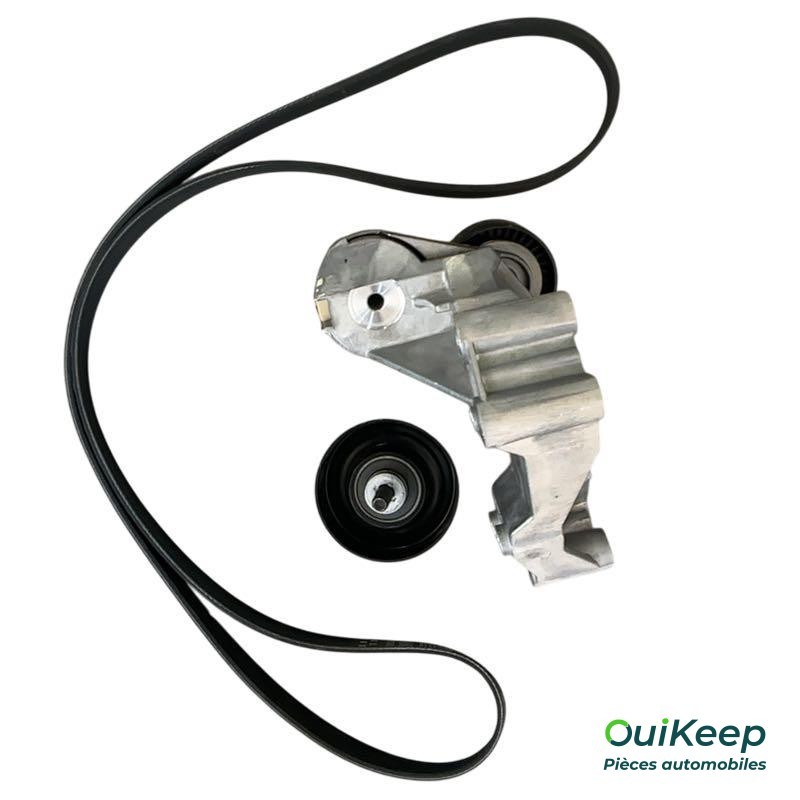 Set geribde V-snaren voor FORD FOCUS, TOURNEO CONNECT, TRANSIT CONNECT - 2110243