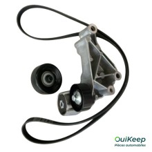 Set geribde V-snaren voor FORD FOCUS, TOURNEO CONNECT, TRANSIT CONNECT - 2110243