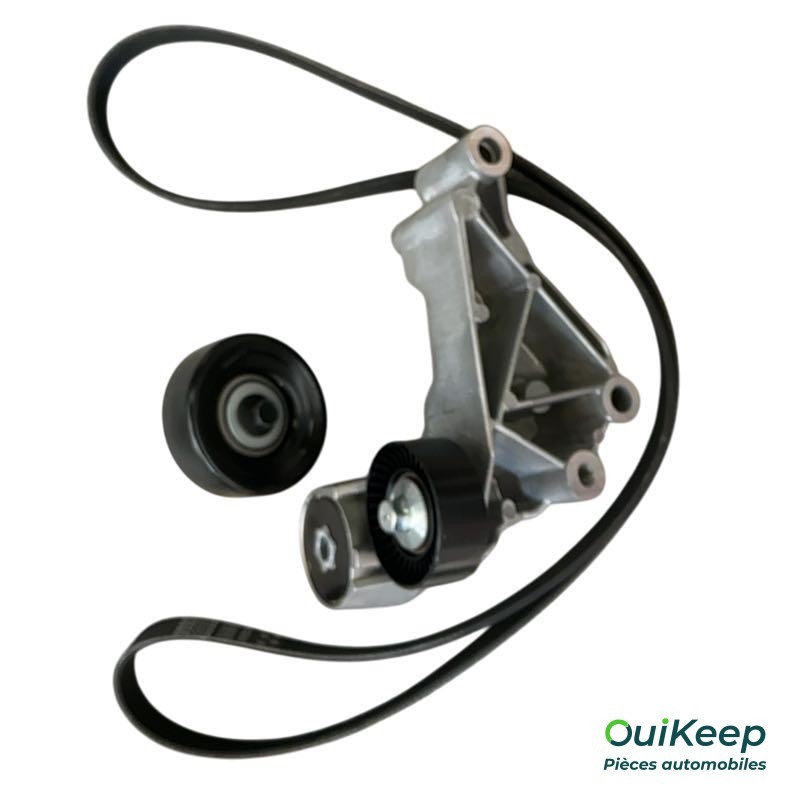 Set geribde V-snaren voor FORD FOCUS, TOURNEO CONNECT, TRANSIT CONNECT - 2110243