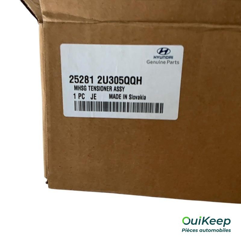 Koło napinające łańcuch akcesoriów – HYUNDAI Tucson, Kona, i30 3 – 252812U305QQH