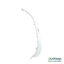 Mud Guard - SCANIA - 2298021LHS