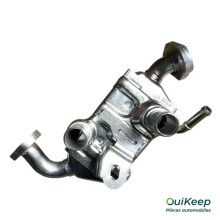 EGR-Ventil - CITROEN C1 - 1640092980