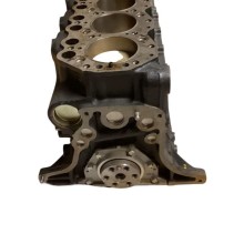 Kurze Motorbaugruppe - NISSAN King Cab D21 - 1010348N00