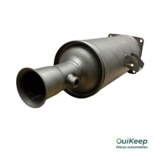 Filtro de partículas FAP - CITROEN C8 - 174035