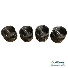 Kit di 4 pistoni assemblati - CITROEN C8 Jumpy Combi Jumpy 3 - 0628S9