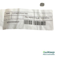 Blinker links Rückspiegel - CITROËN C4 - 9842835780