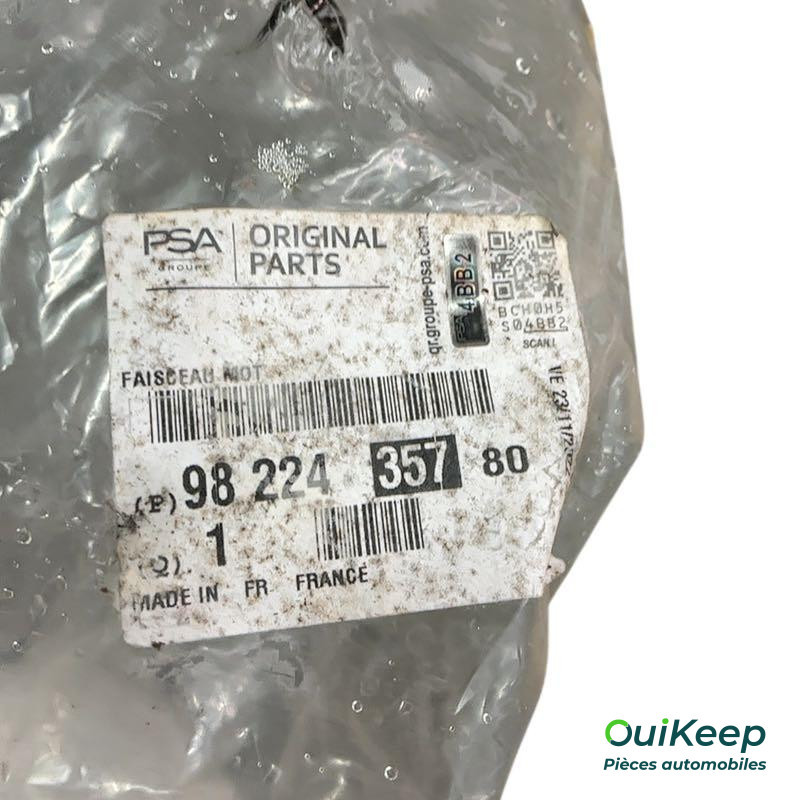 Engine cable harness EB2A - CITROËN C3 3 - 9822435780