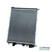 Enfriador de agua - RENAULT Clio 2 - 732071