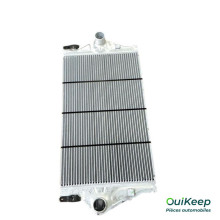 Radiador - RENAULT Laguna 2 Espace - 817927