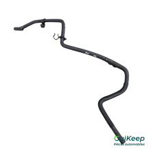 Wasserschlauch - RENAULT Megane 4 - 217415890R
