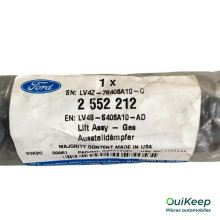 Kofferraumzylinder - FORD Kuga 3 - 2552212