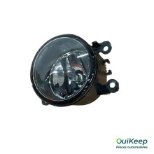 Nebelscheinwerfer vorne links - PEUGEOT 207 307 - 6206E1