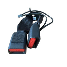 Hebilla central trasera derecha - RENAULT 5 E-Tech - 888421384R