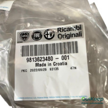 Radnabe hinten links - PEUGEOT Partner - 9813623480