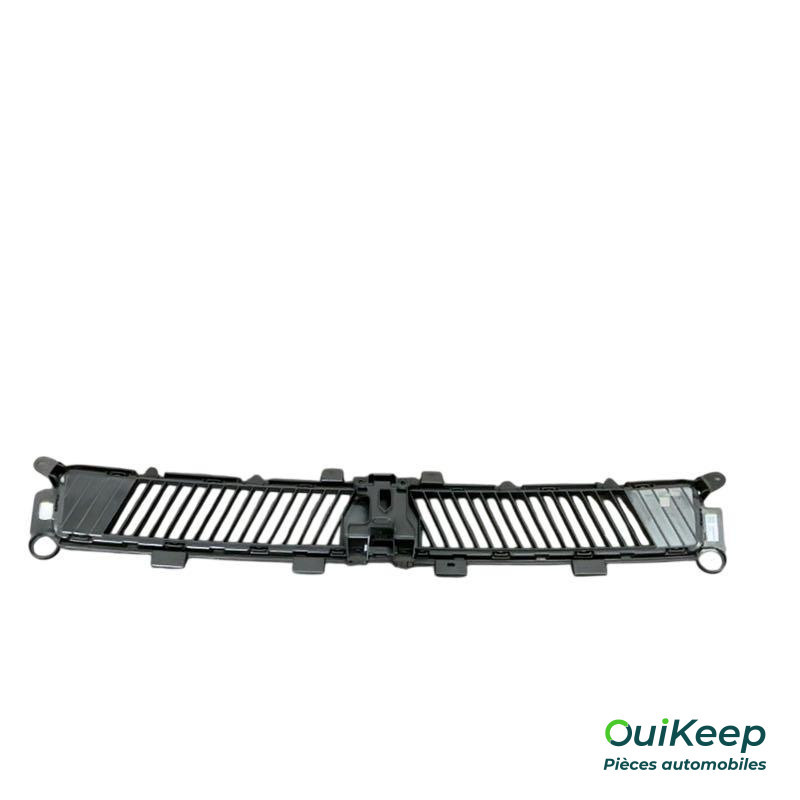 Kühlergrill vorne - RENAULT R5 E-Tech - 622548388R