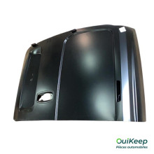 Porte arrière gauche - CITROEN Nemo PEUGEOT Bipper - 1685070480
