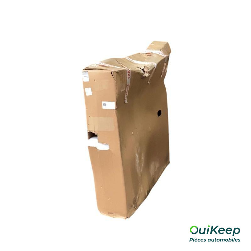 Deur rechtsvoor - DACIA veer - 801002128R