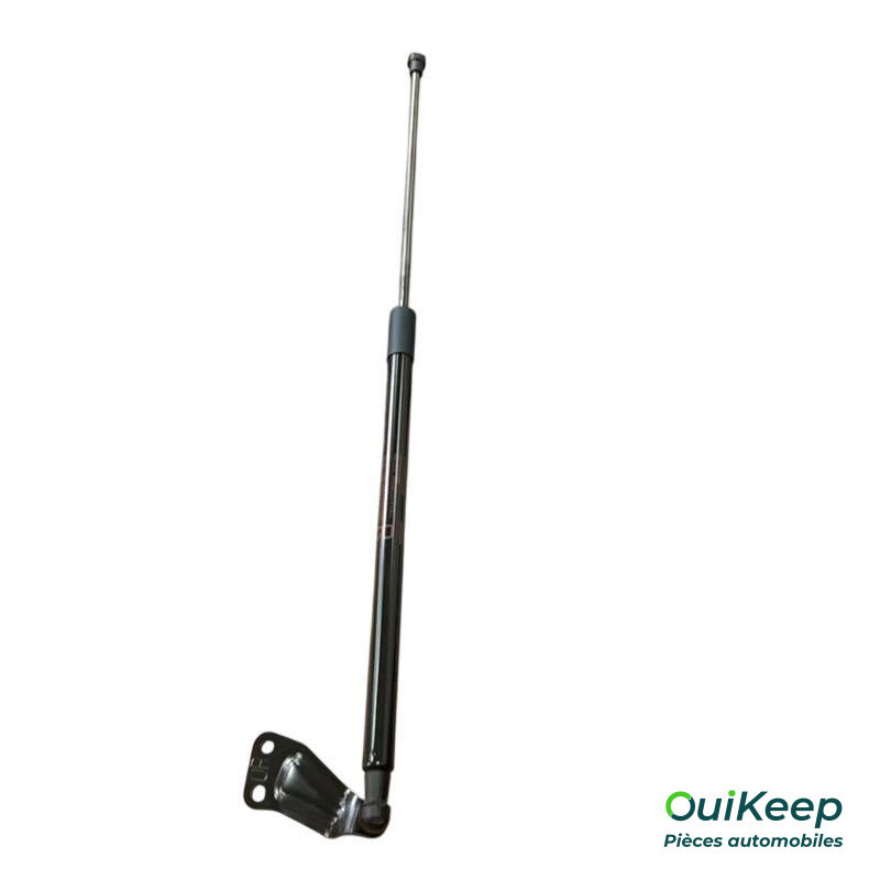 Tailgate jack - NISSAN Juke - 904501KA2C