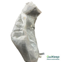 Voorbumper - RENAULT Clio 3 - 620224984R