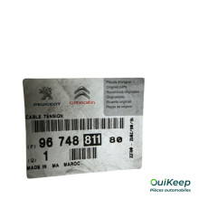 Przewód wysokiego napięcia – CITROËN DS5 – 9674881180