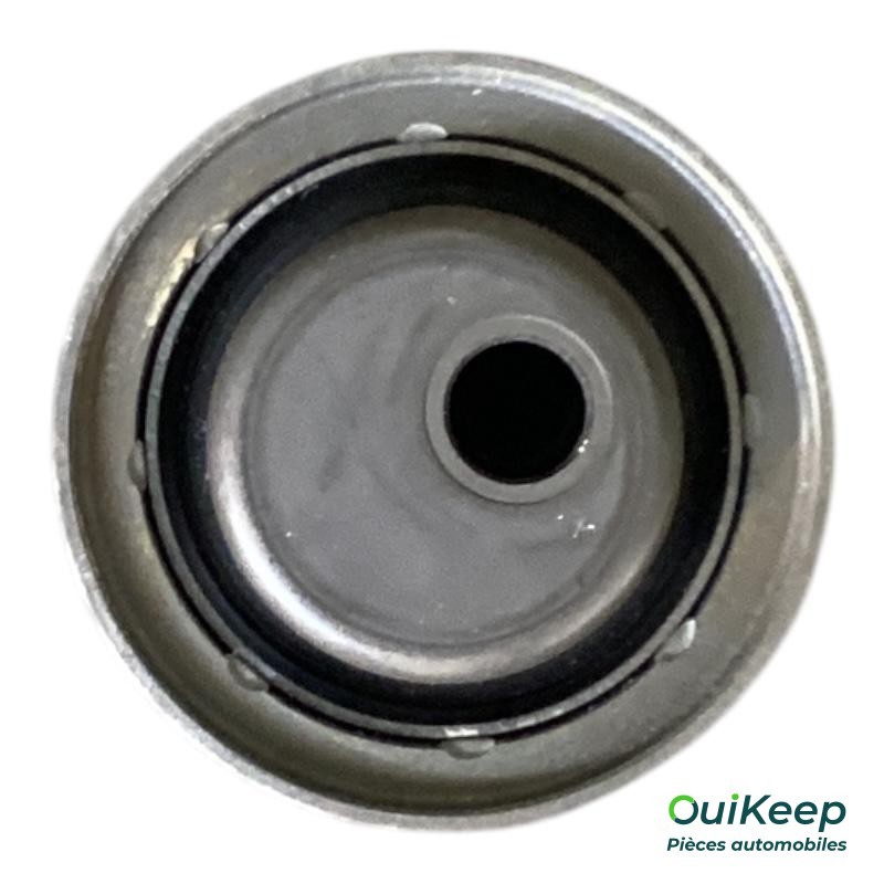 Distributieriemspanner - AUDI 100 A6 - 046130195B