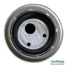 Tensor de la correa de distribución - AUDI 100 A6 - 046130195B